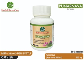 PUNARNAVA 